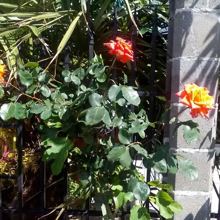 酒店 диана дик *