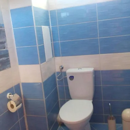 диана дик 酒店