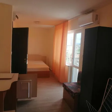 диана дик 酒店 *